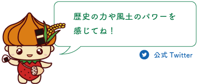 歴史の力や風土のパワーを感じてね！