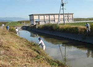 水路の草刈り