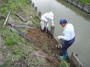 水路のコンクリート板柵の補修