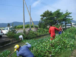 水路の水草除去(1)