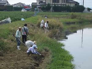 水路の草刈り