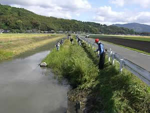 水路の草刈り