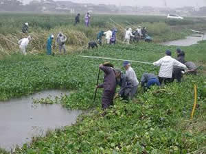 遠ノ江下資源保全の会