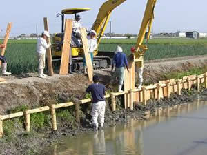 水路法面の土留めのための木柵工の様子