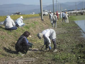 水路・農道の草刈り