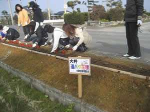 道ばた花壇づくり