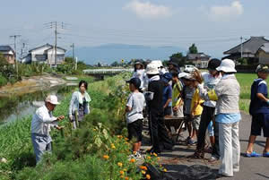 古賀ん村つくり隊が水路沿いに竹垣づくりをおこないました（8月23日）