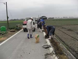 道路法面への芝の植栽