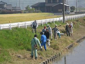 水路の草刈り