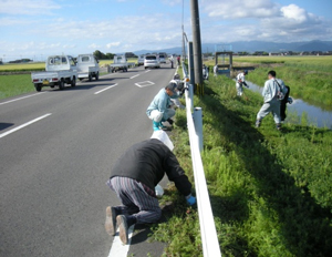 開水路の除草