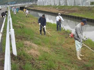 水路の草刈り