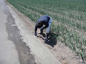 道路法面の補修