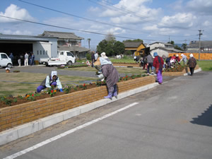 花苗の植栽