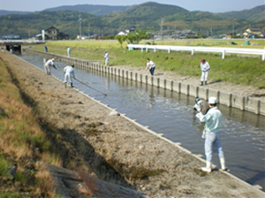 水路の水草の除去