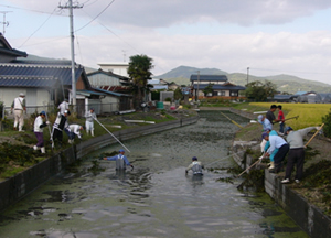 水路の水草除去