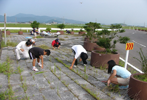 道路の除草作業