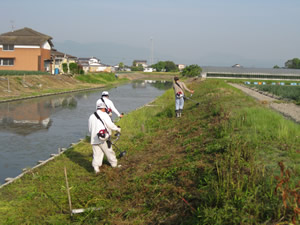 水路の草刈り