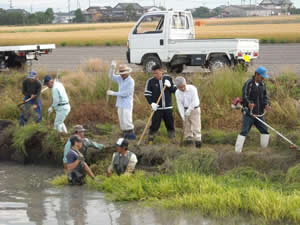 水路の水草除去