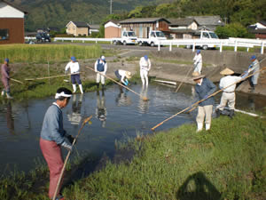 水路の水草除去