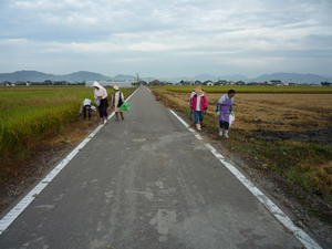 道路のゴミ拾い