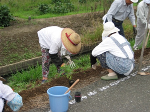 農道への花苗の植栽