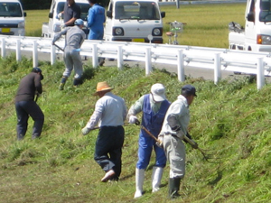 水路・農道の除草