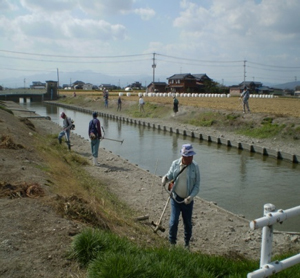 水路の草刈り