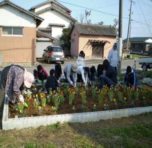 花壇への花の植栽