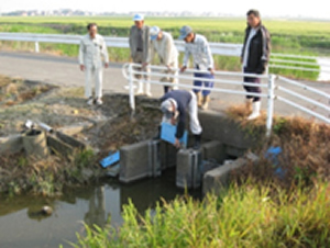 水路の点検