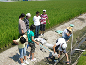 子供たちによる生き物観察