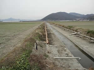 右側の板柵は昨年の1月18日～23日に設置された板柵です。施工延長は約340m。