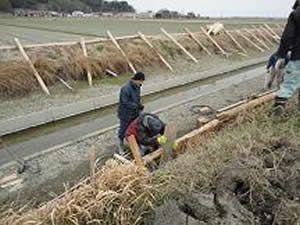 水路への板柵設置（深浦水清会）