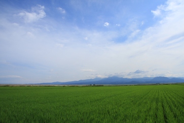 白石平野