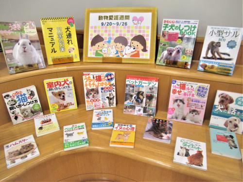 動物愛護週間