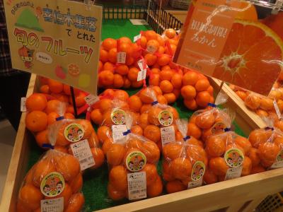 喜佐木
